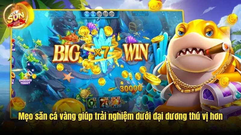 Mẹo Săn Cá Vàng Sunwin Độc Đáo, Kiếm Lời Khổng Lồ 2025